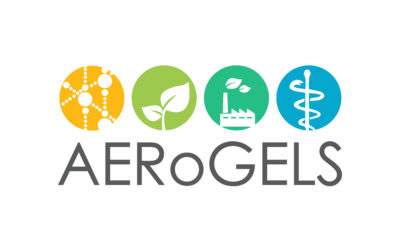 GREEN4AGEING in the organization of the International Conference on Aerogels for Biomedical and Environmental Applications