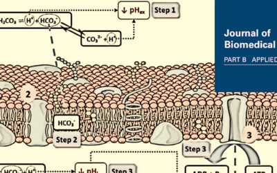 GREEN4AGEING research published in J Biomed Mater Res B in the top downloaded in recent publication history