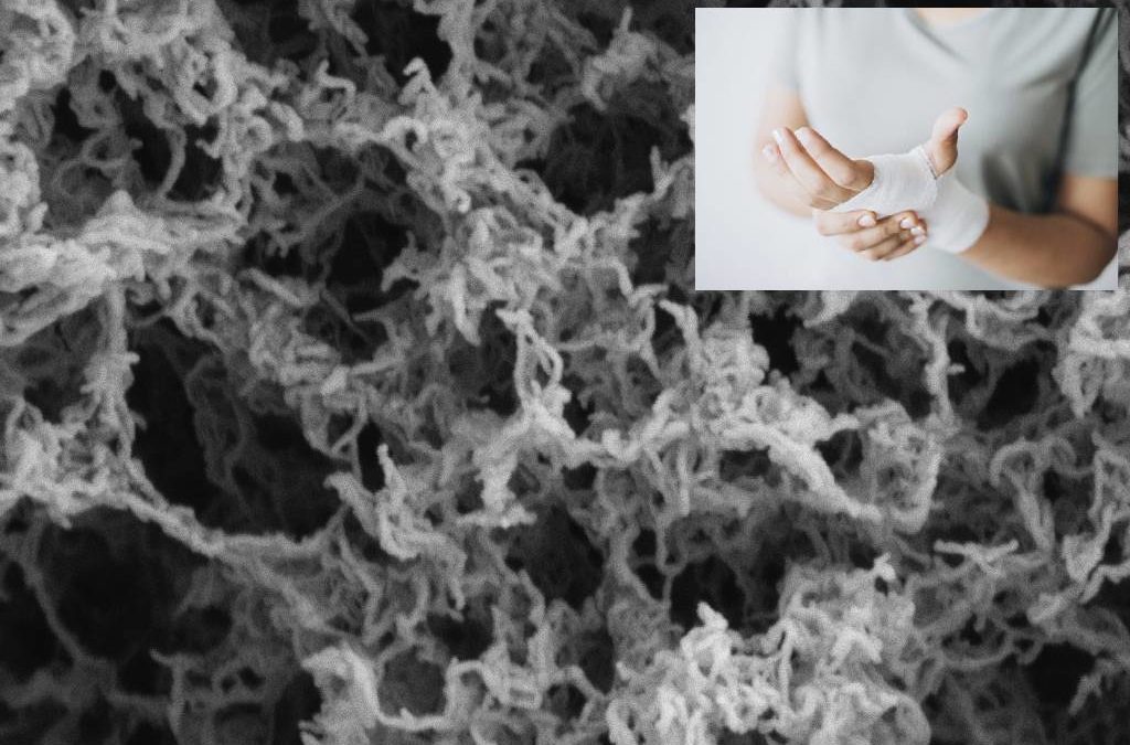 Article from GREEN4AGEING project between the most cited in Carbohydrate Polymers in the last years