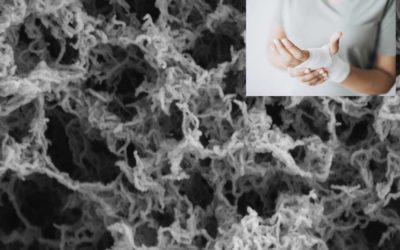Article from GREEN4AGEING project between the most cited in Carbohydrate Polymers in the last years