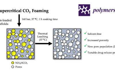 Medicated bone scaffolds processed by a combined solvent-free method based on supercritical foaming and thermal porogen leaching in Polymers Journal