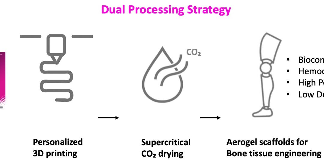 A dual processing strategy to obtain customized and aerogel-based bone scaffolds