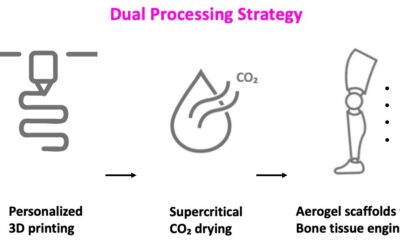 A dual processing strategy to obtain customized and aerogel-based bone scaffolds