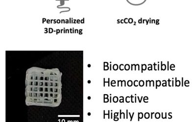 Dual crosslinked aerogel-based scaffolds for bone pathologies