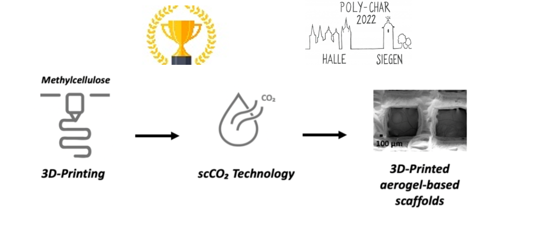 Best oral presentation award at Poly-Char conference