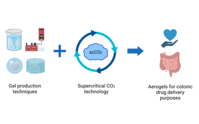 Future trends of aerogels for colonic drug delivery orally administrated