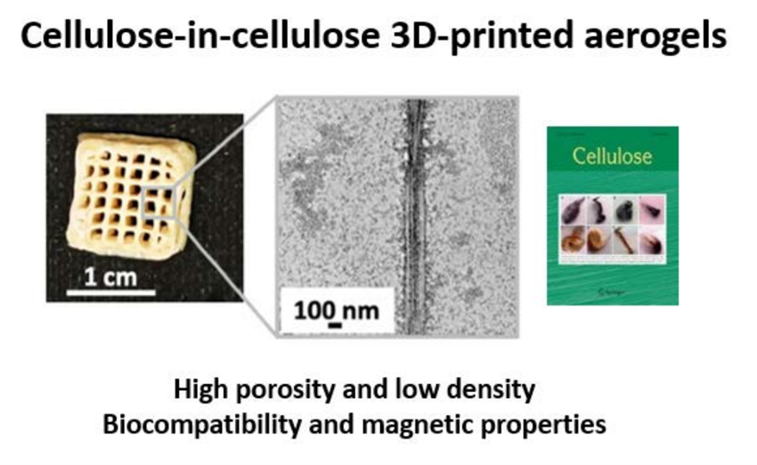 Cellulose-in-cellulose 3D-printed bioaerogels for bone tissue engineering