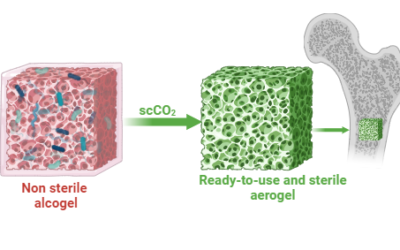 Sterile and biocompatible aerogels developed by an in situ one-step process