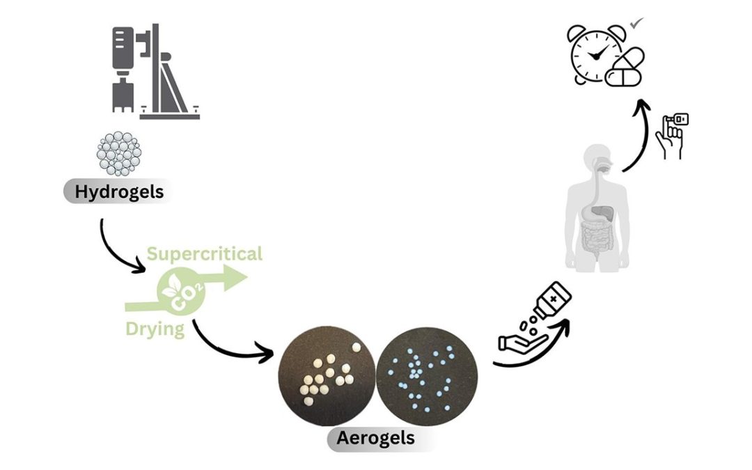 Innovative Aerogel-Based Strategies for Enhancing Oral Insulin Stability and Bioavailability