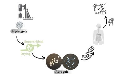 Innovative Aerogel-Based Strategies for Enhancing Oral Insulin Stability and Bioavailability